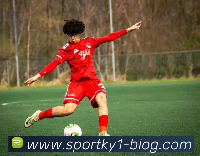 开云体育APP 封面图